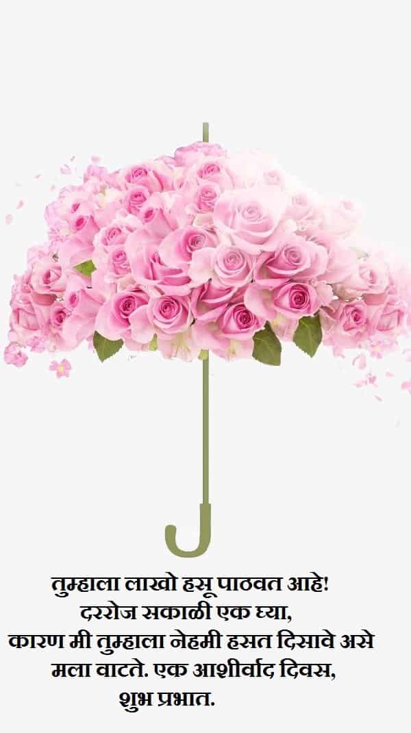 beautiful umbrella design a pink rose flower